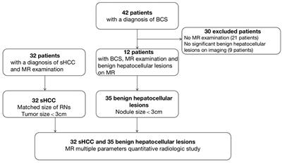 Differentiation between small hepatocellular carcinoma (<3 cm) and benign hepatocellular lesions in patients with Budd-Chiari syndrome: the role of multiparametric MR imaging